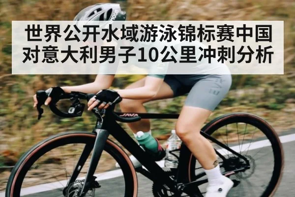 世界公开水域游泳锦标赛中国对意大利男子10公里冲刺分析